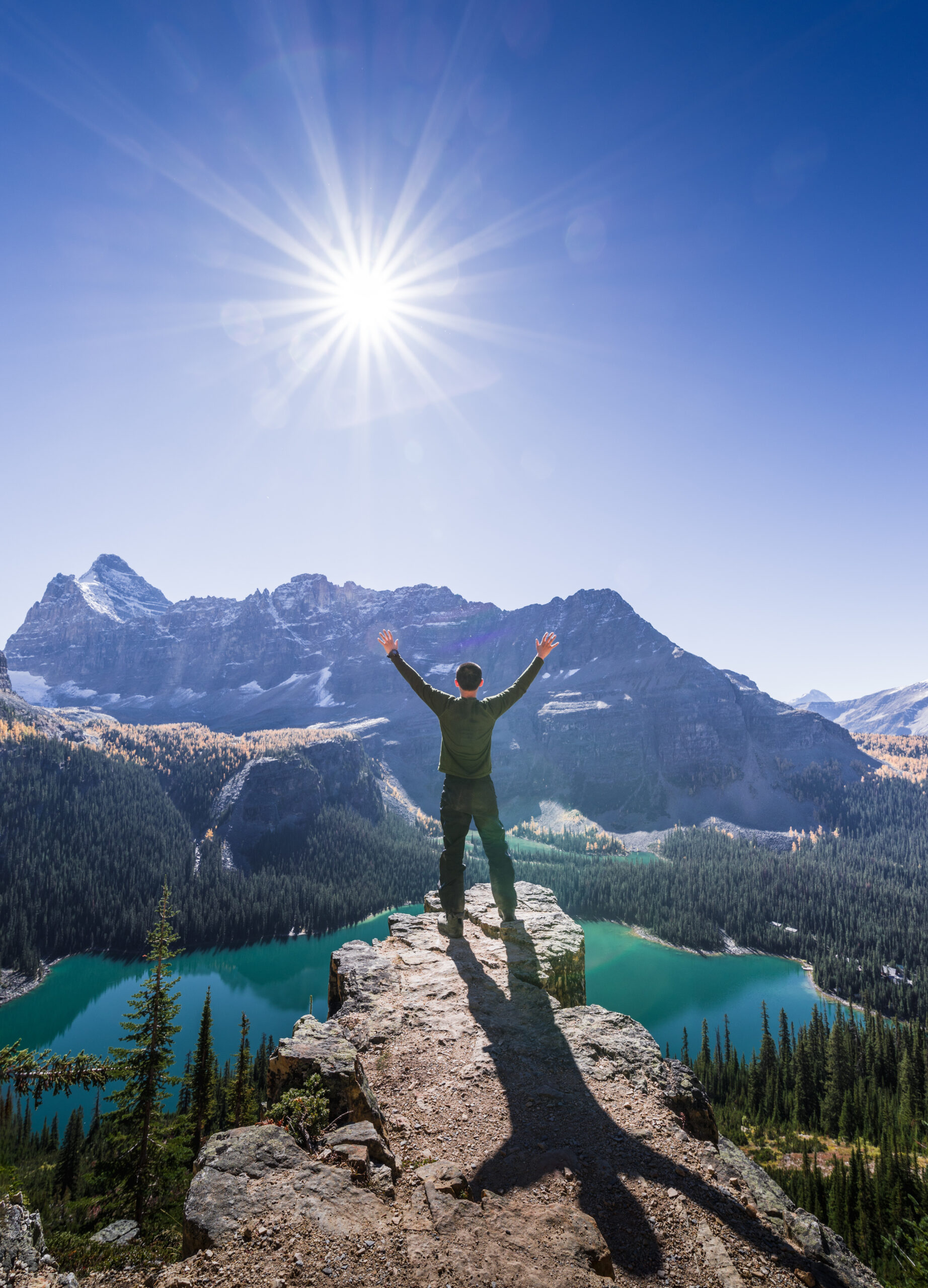 Navigating Your Health: Understanding Optimal and Reference Ranges for Biomarkers